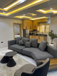 Appealing Apartment - Lagos - 0