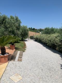 Agriturismo cerquatonda - Montalto delle Marche - 1