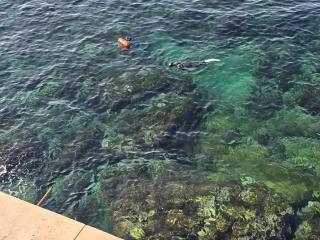 Villa Pieds Dans L'Eau Sea View Oran - 14 people - - 9