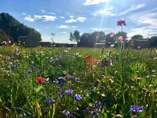 Shepherds Hut 7 - Bedfield - 9