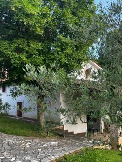 Villa Boljuncica - 3
