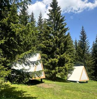 Durmitor glamping - Žabljak - 6