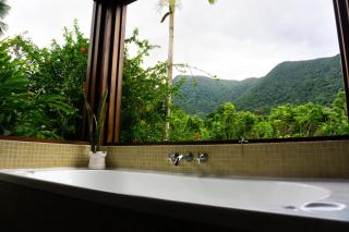 Cape Tribulation Getaway - 9