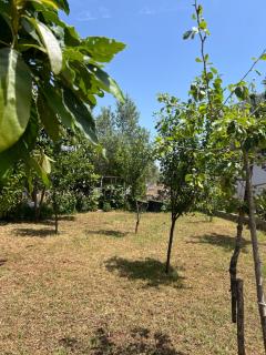 Niks Apartments - Ksamil - 7
