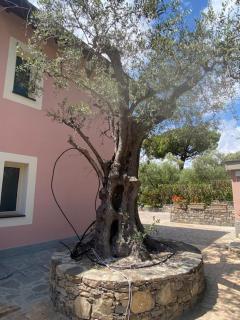 Andarosa - Marina di Andora - 9