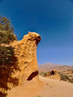 Fibule d'or - Tafraout - 6