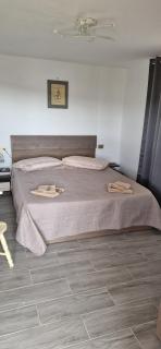 Casa de vacanta Musatesti - 9