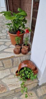 Casa de vacanta Musatesti - Robaia - 1