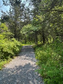 Glampanee - off grid SITE 2 - 9