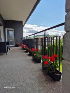Apartament Górski z basenem - Raba Wyżna - 5