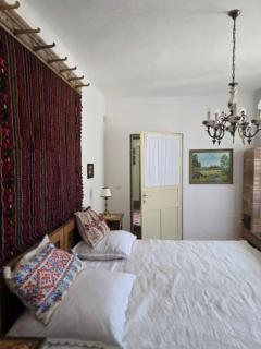 Casa la Pridvor - Şoarş - 8