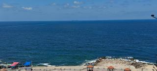 شقة فندقية - Alexandria - 4