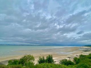 La sauvagine les pieds dans l'eau - Cricquebœuf - 9