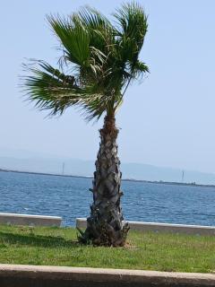 Casa Cristoforo Colombo - 0