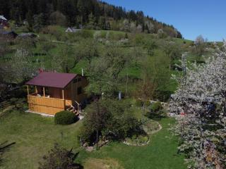 Chata Mandl - Klid, příroda, soukromí - 4