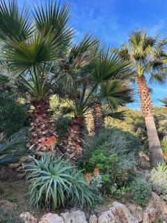 Villa Cigales - Roquebrune-sur Argens - 6