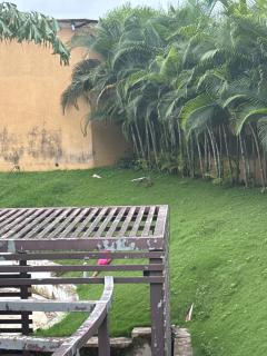 3 Bed apartment in North Goa - Goa Velha - 9