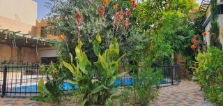 منتجع غيمه رذاذ - - 6