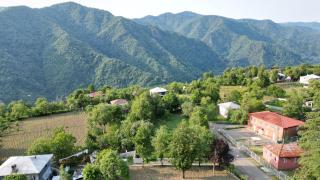 Guest House in the mountaims Gocha - Batumi - 9