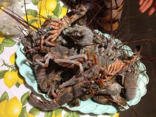 Paradiso mar azul - 0