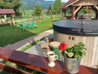 Cabana Dani - Vatra Dornei - 8