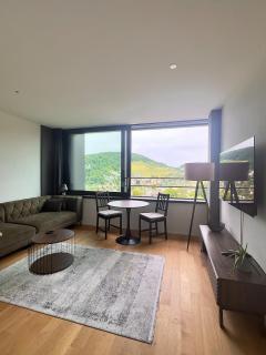 Business Apartment Baden Central Station - Baden - 0