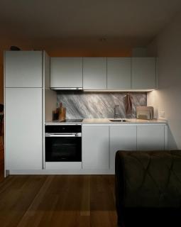 Business Apartment Baden Central Station - Baden - 1