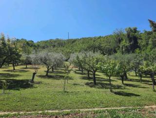 Casa Vacanze Stefania - Rosciano - 2