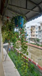 Baan Nampetch Hostel - 6