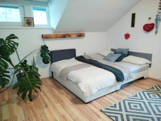 Holiday house Zala - Puconci - 5