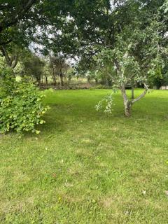 Gîte à la campagne - L'Etang-Bertrand - 2