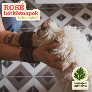 Zamatos Turbolya Kisház és Wellness - 2