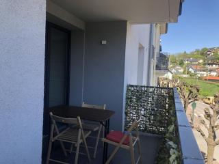 Appartement T2 45m2 1 chambre parking terrasse - Aix-les-Bains - 7