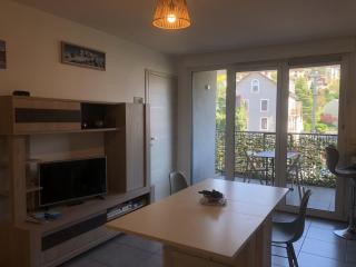 Appartement T2 45m2 1 chambre parking terrasse - Aix-les-Bains - 8