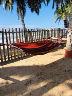 Rent your own private beach bungalow - Ampeni - 9