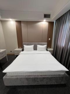 Mountain View Residence Hotel - Alma-Ata - 9