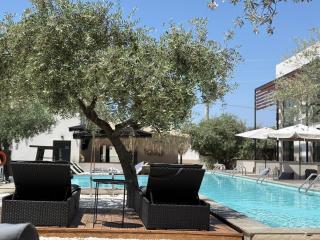 The Olive Hills - Skala Rachoniou - 9