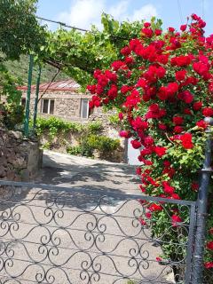 Igor Bed and Breakfast - Halidzor - 9