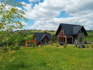 Lux Houses DOMEK z widokiem na Tatry z prywatnym jacuzzi - Gliczarów Górny - 7