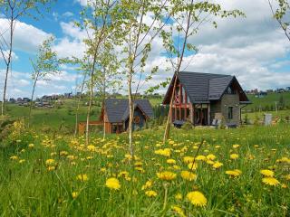 Lux Houses DOMEK z widokiem na Tatry z prywatnym jacuzzi - Gliczarów Górny - 8