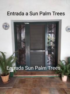 Sun & Palm Trees - 1