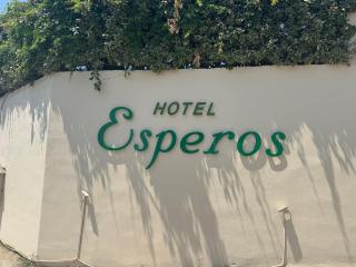 Esperos Hotel of Apartments&Studios - Città di Skiathos - 2