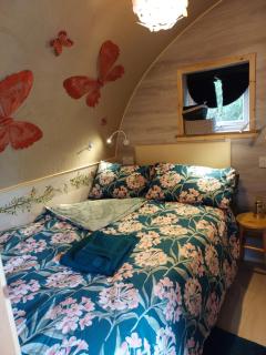 Butterfly Podika - Lerwick - 2