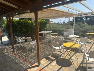 Esperos Hotel of Apartments&Studios - Città di Skiathos - 8