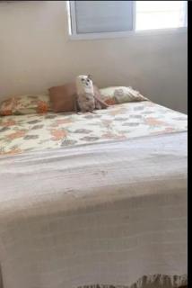 Apartamento aconchegante - São Paulo - 0