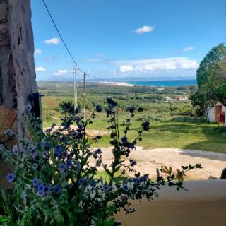 Vivir Tarifa - 2