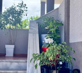 Wooden Guest House - - 6