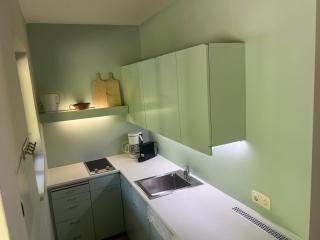 Landhaus Lärchenhof Luxury Apartments - Sattendorf - 2