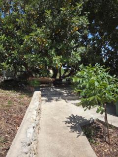 Studio Apartment Mileta - 8