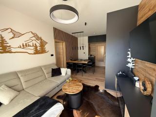 Luxury Mountain Apartment - 1